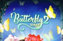butterfly staxx-2
